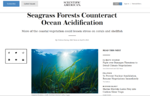 2021. Scientific American: "Seagrass Forests Counteract Ocean Acidification" 