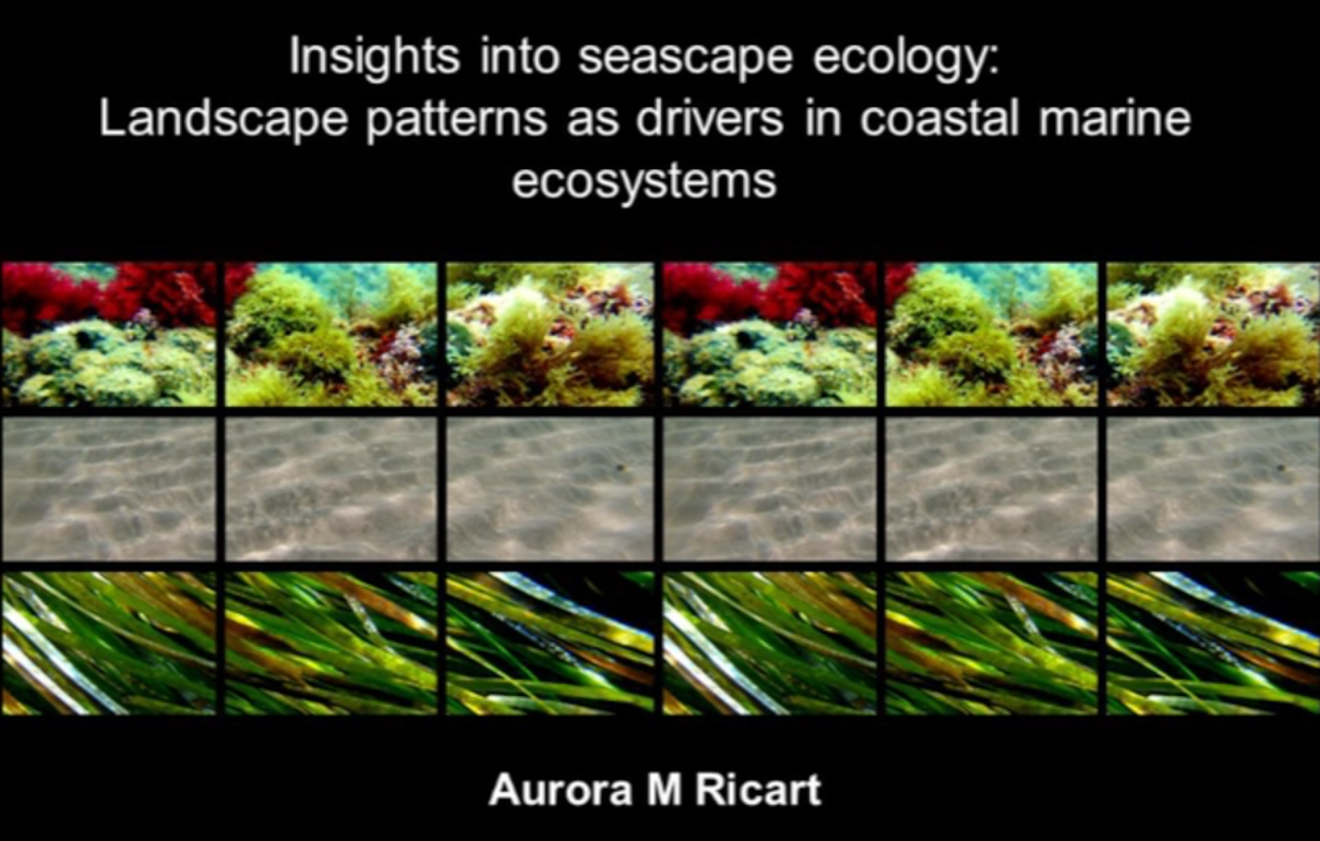 Insights Into Seascape Ecology: Landscape Patterns as Drivers in Coastal Marine Ecosystems