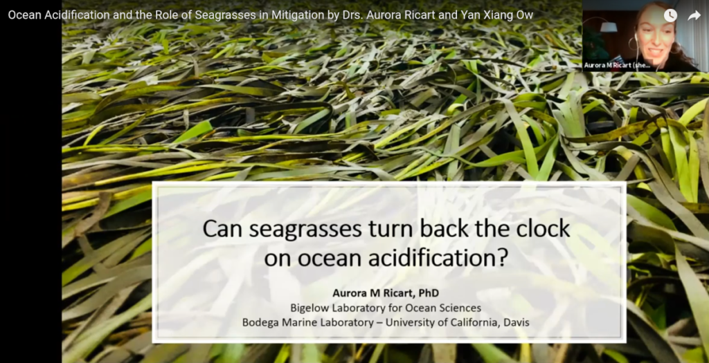 Ocean Acidification and the Role of Seagrasses in Mitigation by Drs. Aurora Ricart and Yan Xiang Ow